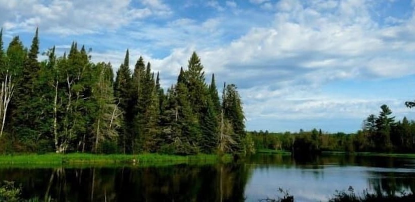 The Dempsey Manor Bed & Breakfast Inn