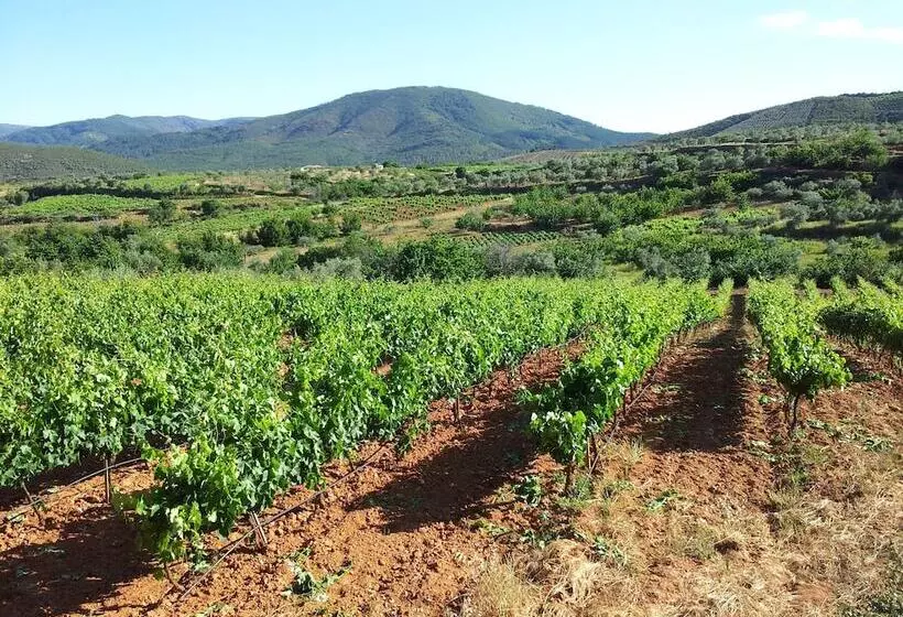 Apartamentos El Mirador Del Soto