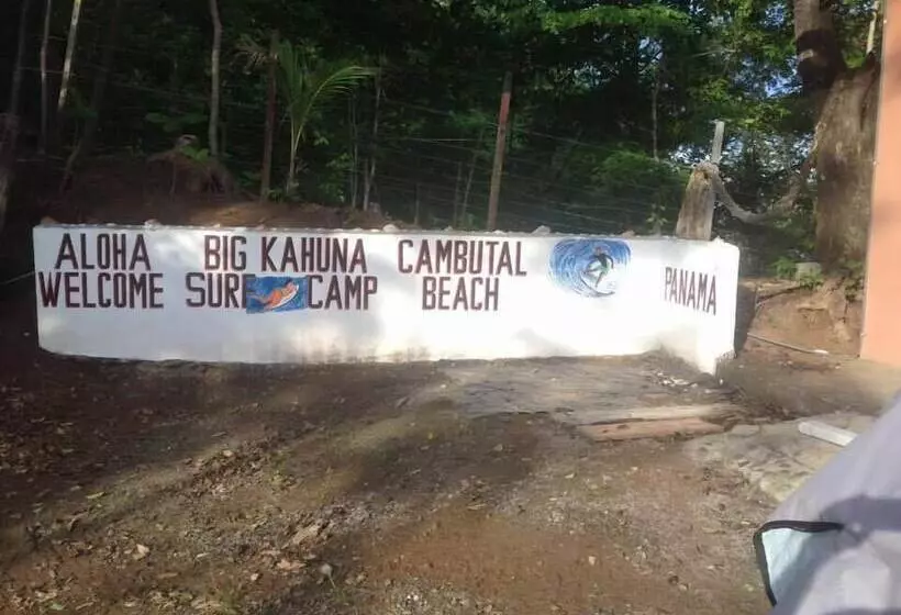 Big Kahuna Surf Camp   Hostel