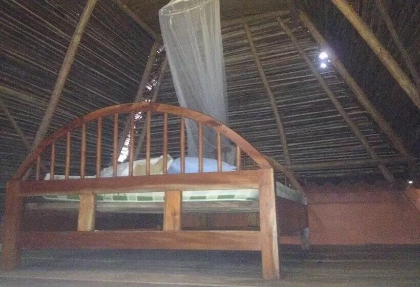 Big Kahuna Surf Camp   Hostel