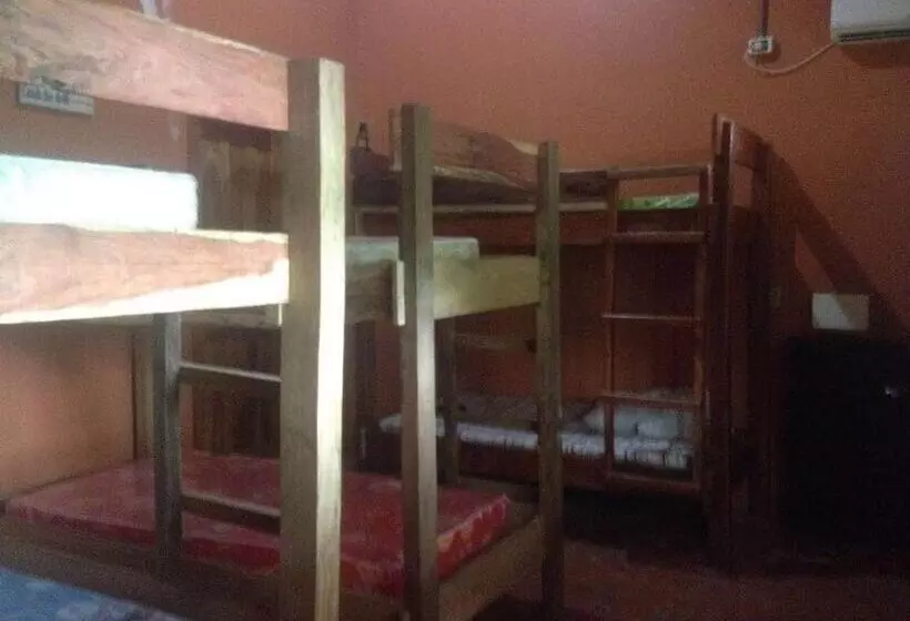 Big Kahuna Surf Camp   Hostel