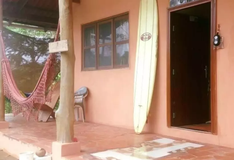 Big Kahuna Surf Camp   Hostel