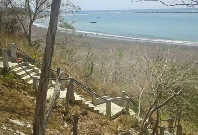 Big Kahuna Surf Camp   Hostel
