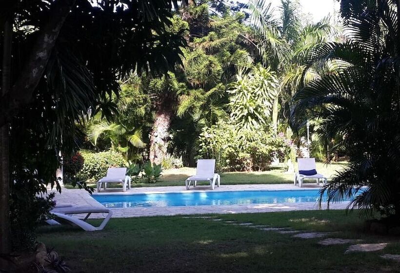 Bungalow Natura Village