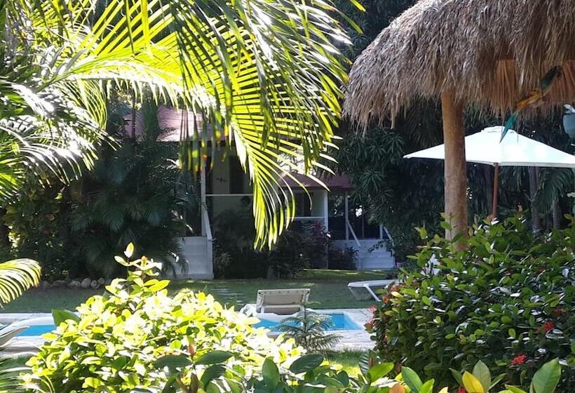 Bungalow Natura Village