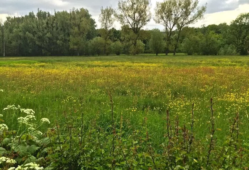 Eifeltraum Magma   Enjoy The Silence