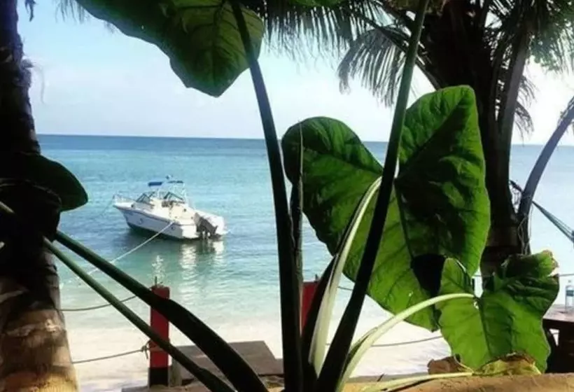 Hotelli Las Palmeras Beachfront