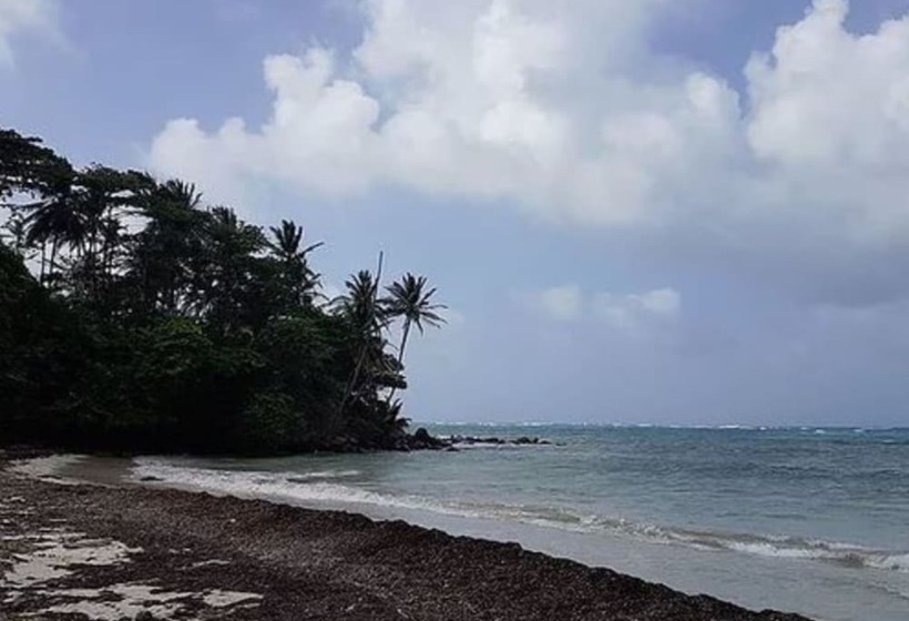 فندق Las Palmeras Beachfront