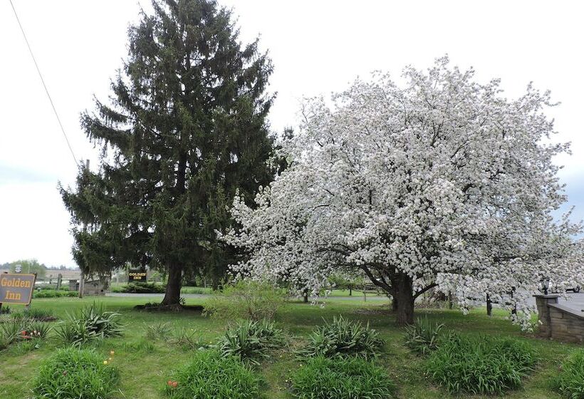 Мотель The Golden Inn