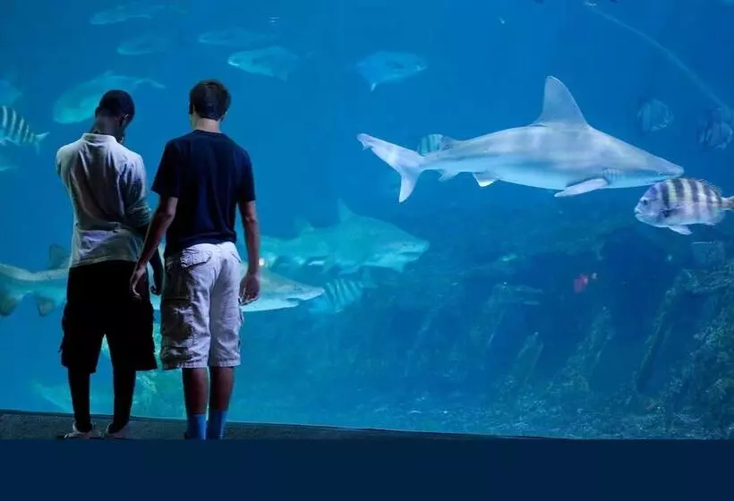 Majatalo Cameron House Inn