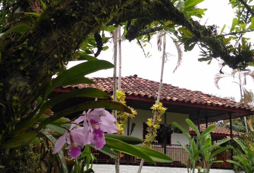 פנסיון Finca Brisas Del Ensueño, Armenia Quindio