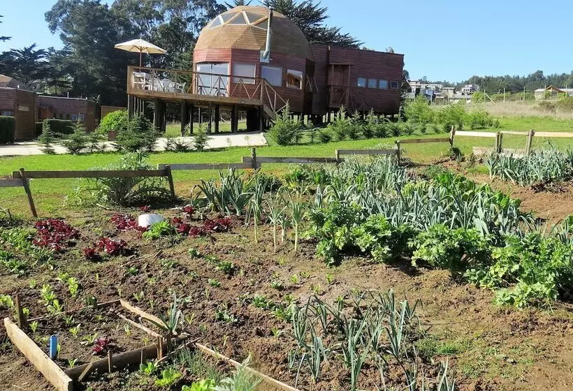 Pichilemu Domos