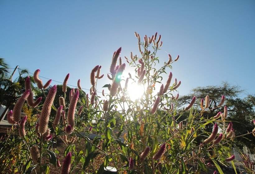 Résidence Jochryste