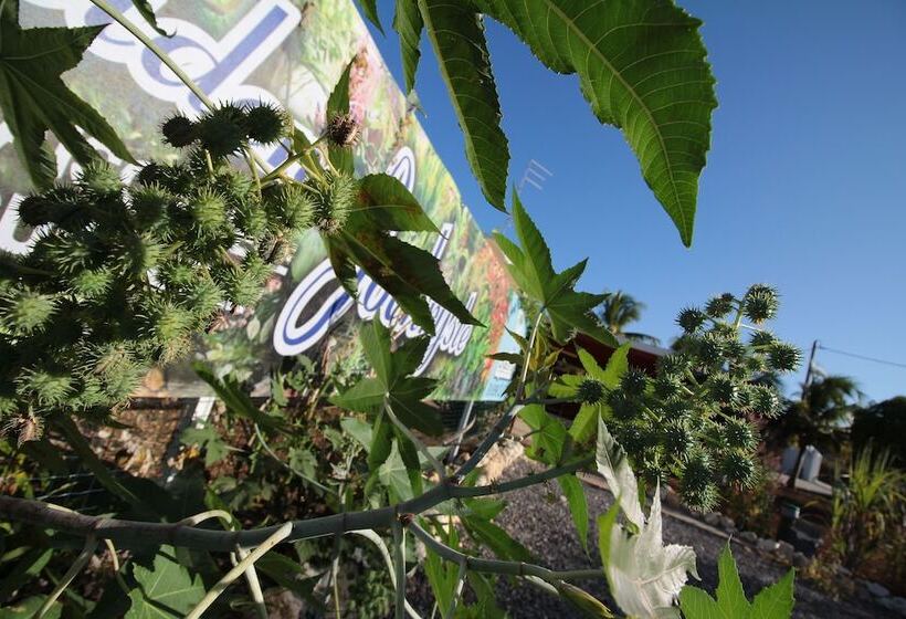 Résidence Jochryste