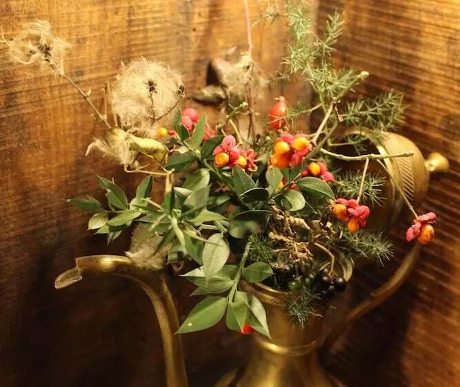 Aamiaismajoitus (B&B) Sasso Erminia R&b Ecosostenibile