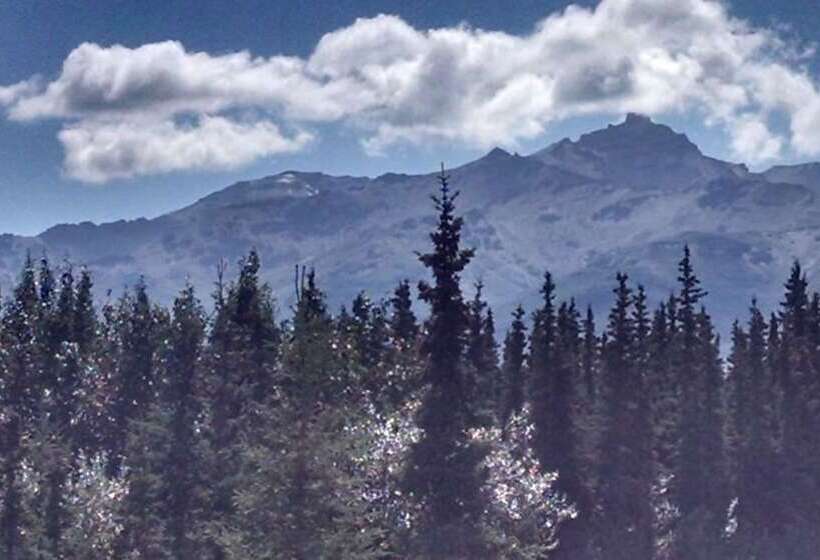 Alaskan Spruce Cabins