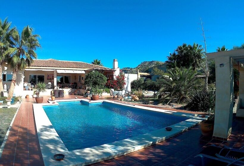 Bed and Breakfast Mas Del Conill