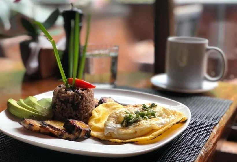 Freddys Place Bed And Breakfast