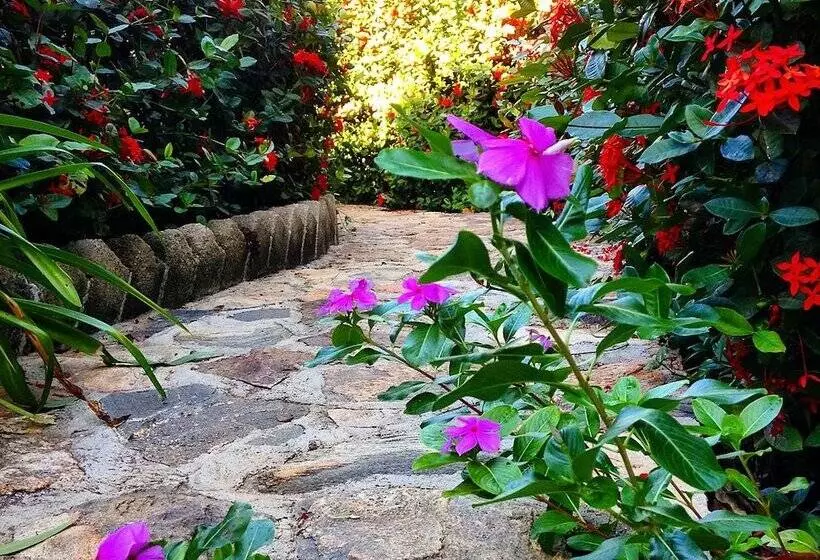 ホテル Casa Huijazoo Naturaleza & Serenidad