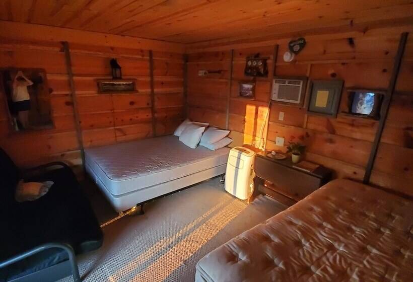 فندق Suzies Camp