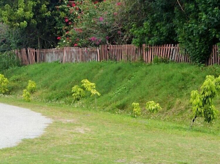 Motel Be Inn Punta Gorda