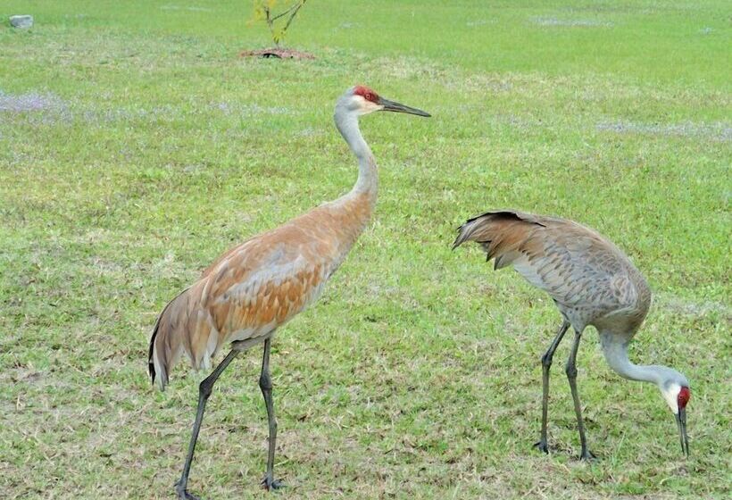 モーテル Be Inn Punta Gorda