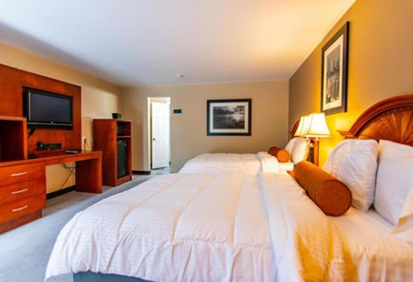 汽车旅馆  Eden Inn