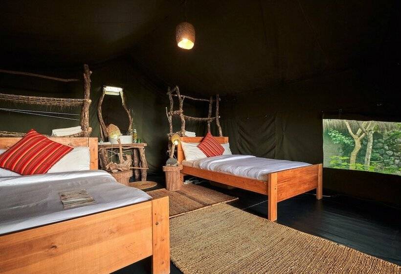 پانسیون Nature Homes   Africa Amini Life