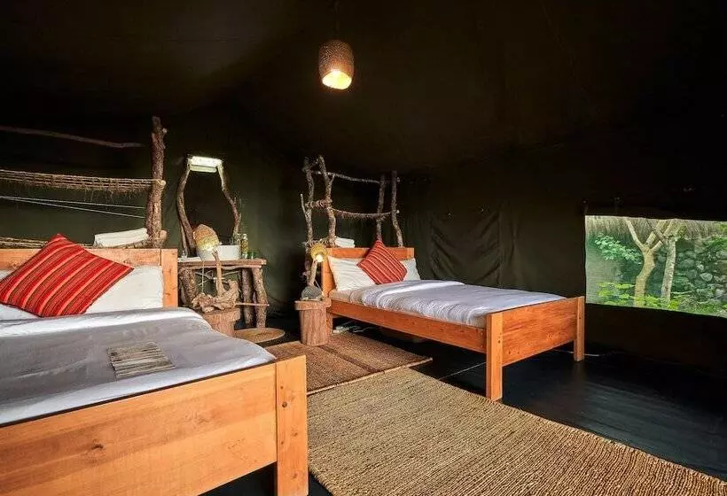 پانسیون Nature Homes   Africa Amini Life