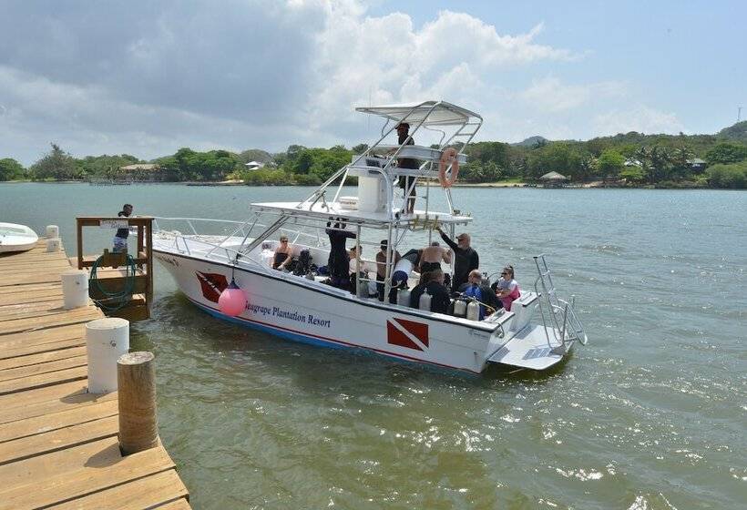 هتل Seagrape Plantation Resort