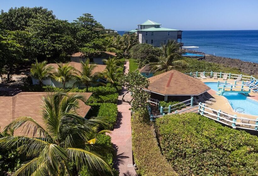 هتل Seagrape Plantation Resort