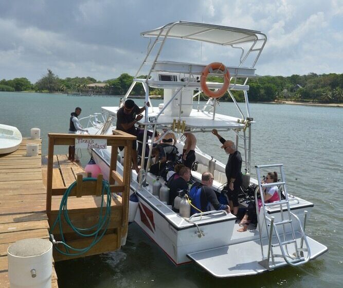 هتل Seagrape Plantation Resort