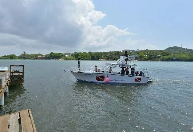 هتل Seagrape Plantation Resort