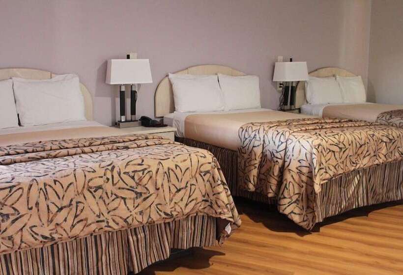 汽车旅馆  Parks Inn Bowie