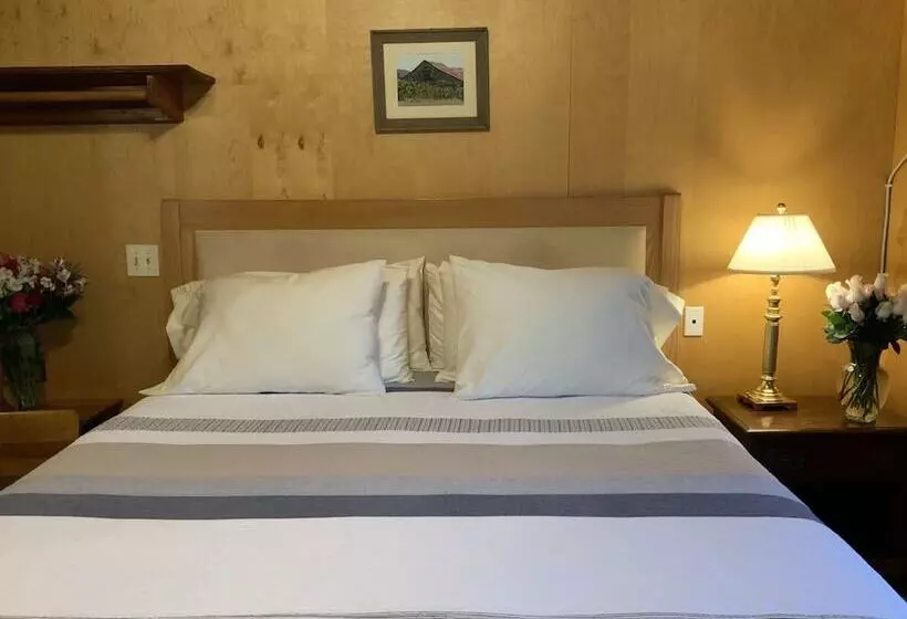 The Woods Hotel   Gay Lgbtq Cabins