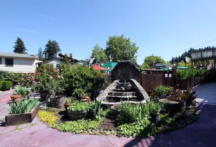 The Woods Hotel   Gay Lgbtq Cabins