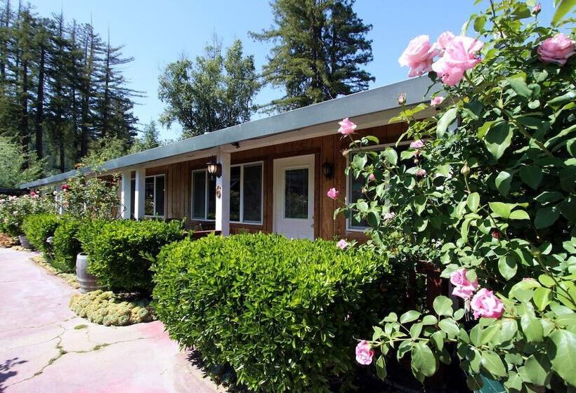 The Woods Hotel   Gay Lgbtq Cabins