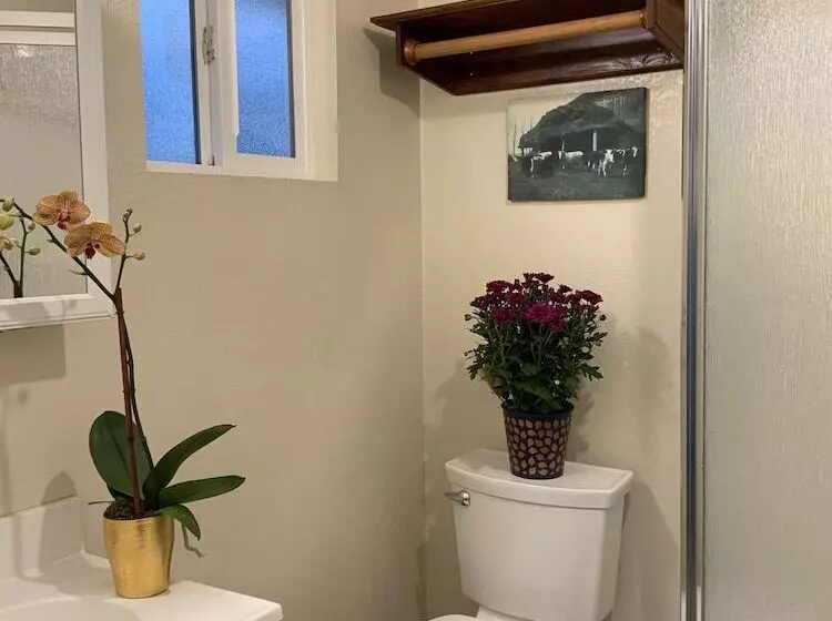 The Woods Hotel   Gay Lgbtq Cabins