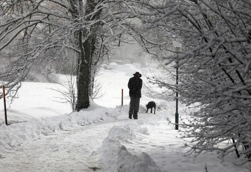 בית מלון כפרי Am Bach