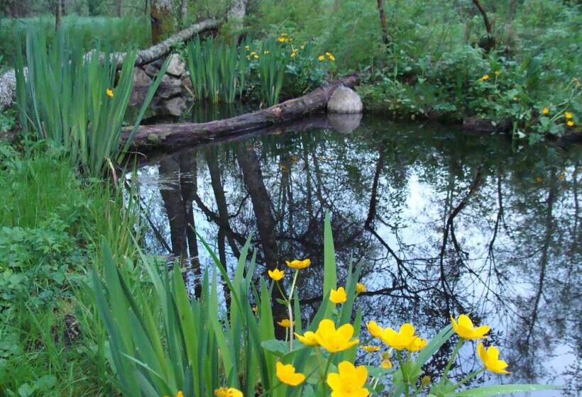 בית מלון כפרי Am Bach