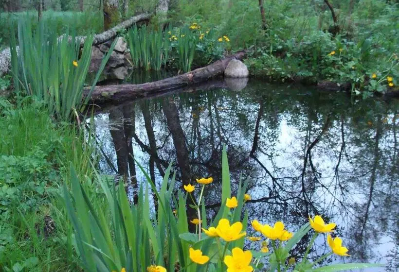 בית מלון כפרי Am Bach