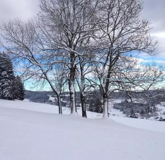 בית מלון כפרי Am Bach