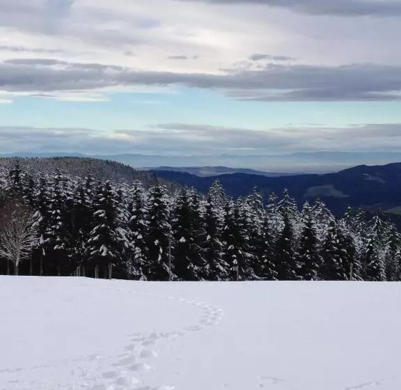 בית מלון כפרי Am Bach