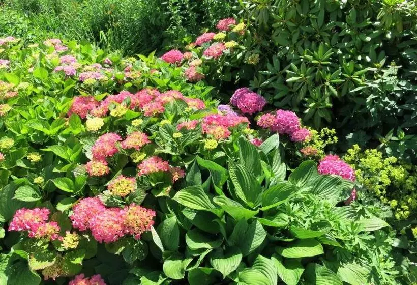 فندق Das Bärenhaus