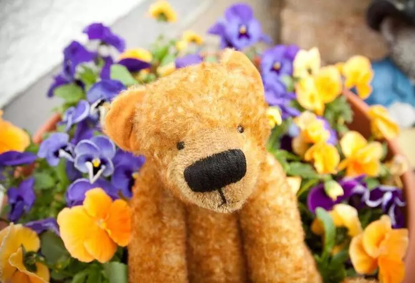 فندق Das Bärenhaus