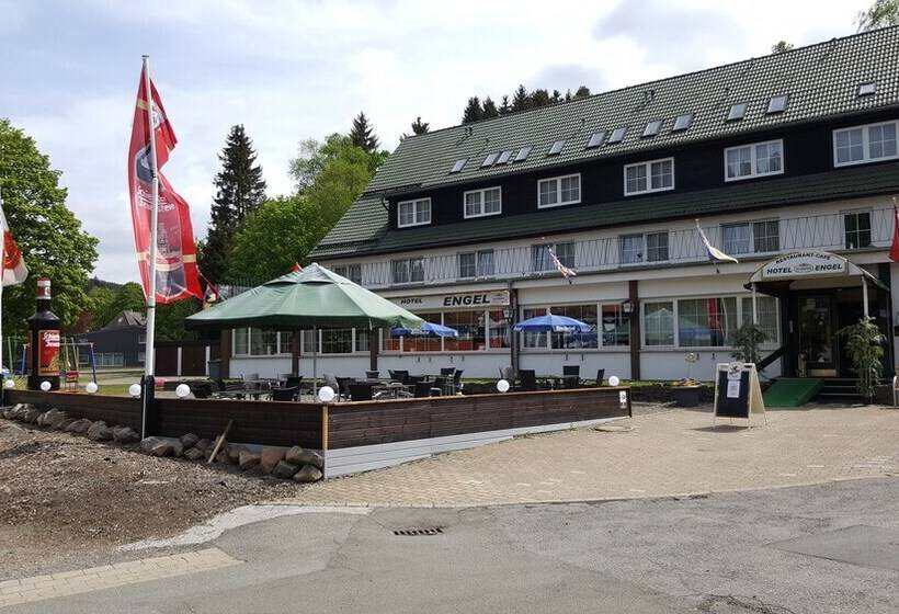 בית מלון כפרי Engel Altenau