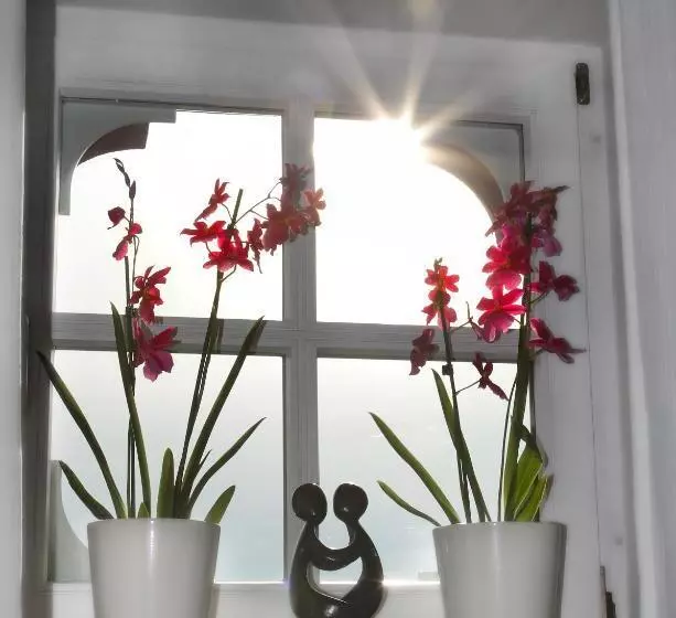 호텔 Garni Kaiserstuhl