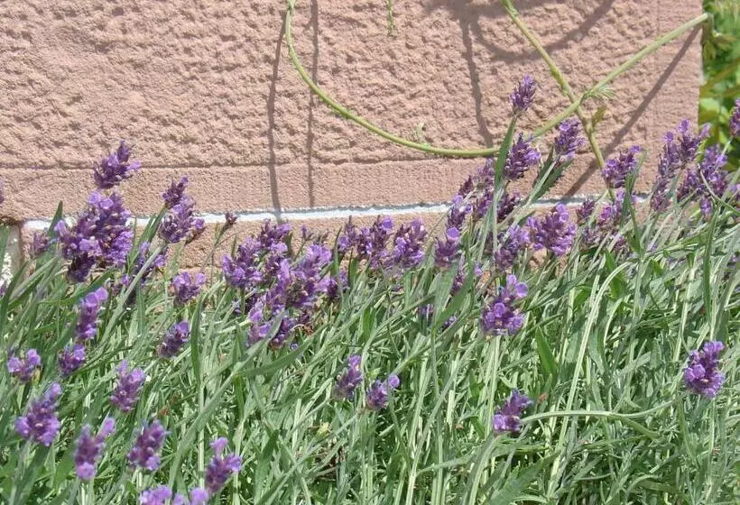 호텔 Garni Kaiserstuhl