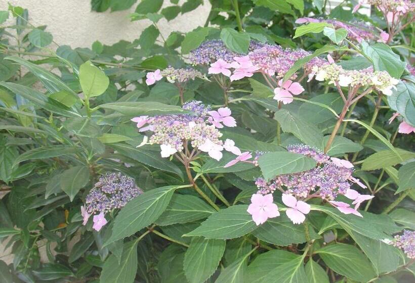 فندق Garni Kaiserstuhl