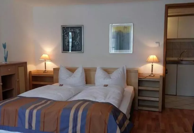 فندق Goldener Anker